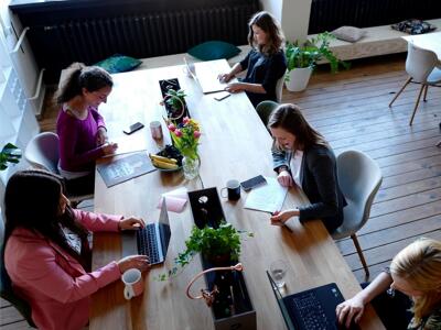 審核業(yè)務(wù)外包服務(wù)