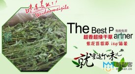 淘寶客服外包案例之“陽光寵物生活館”