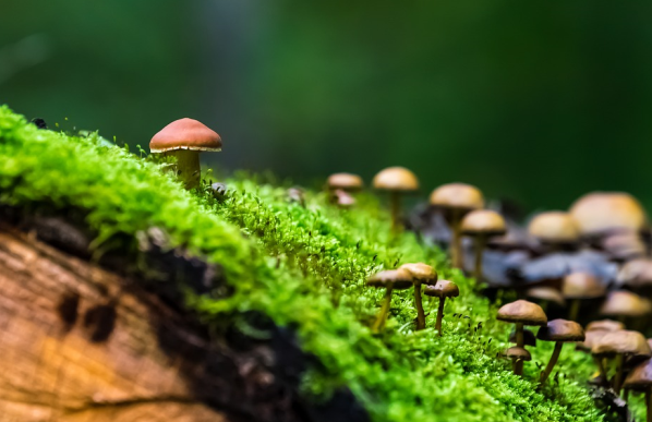 客服要熟知商品的細節