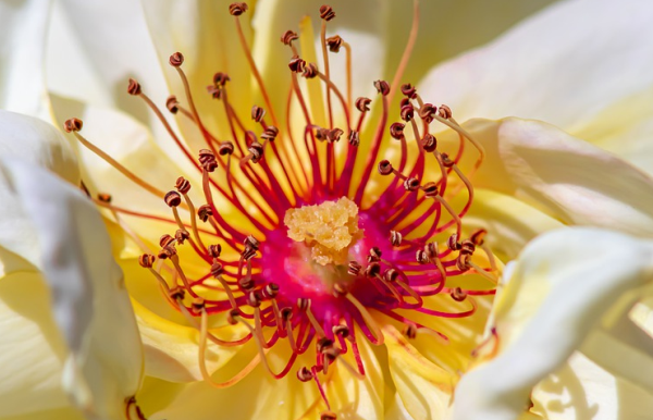 客服可以介紹出商品的賣點(diǎn)