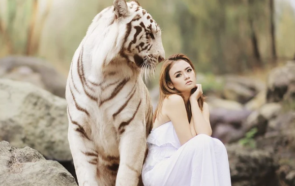 贊美買家的氣質(zhì)