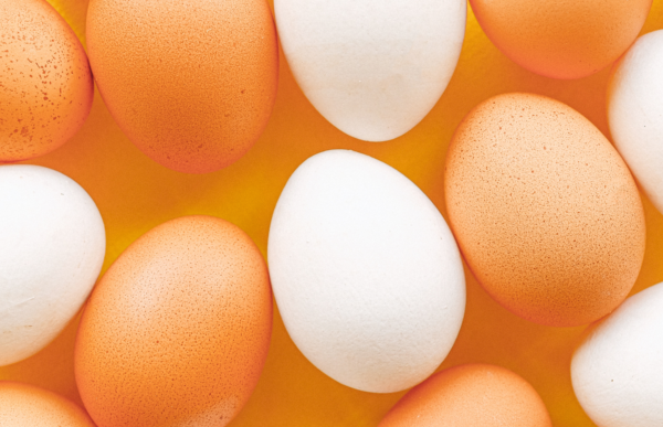 客服外包公司您了解多少？客服外包的初步了解