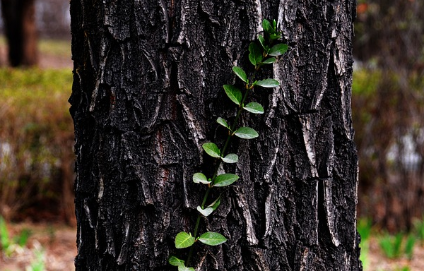 做為金牌客服的四點要求？