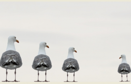 客服外包為什么會成為一種流行趨勢？