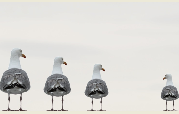 客服外包為什么會(huì)成為一種流行趨勢(shì)？