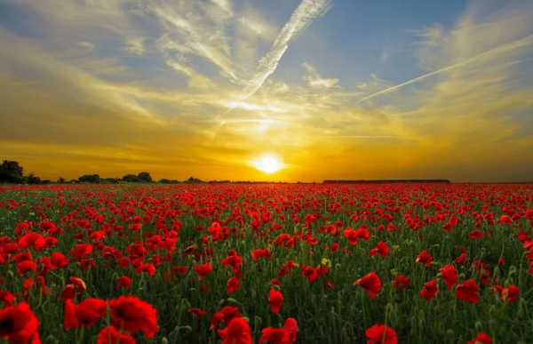 客服外包是否是電商的未來發(fā)展方向？