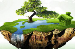 抖音小店客服可以外包嗎？市場(chǎng)對(duì)外包的需求點(diǎn)？