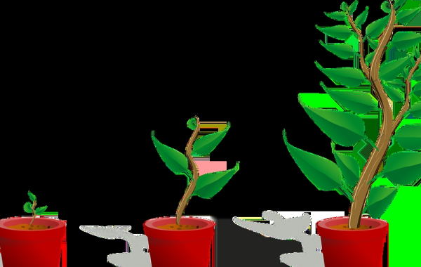 快手網店客服外包的公司怎樣選？有哪些技巧？