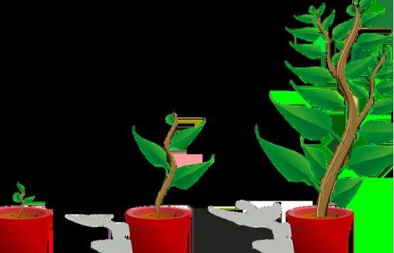 哪家阿里巴巴外包客服公司比較靠譜?怎樣找？