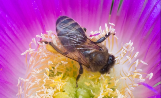 淘寶服裝外景拍攝技巧，怎樣拍攝的效果比較好