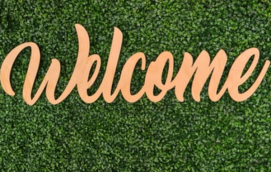 常用的網店客服快捷回復語