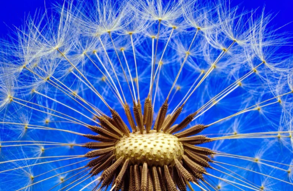 注重細(xì)節(jié)