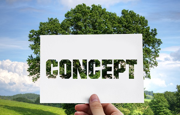 天貓網店如何進行日常管理?