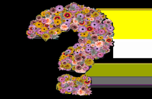 客服外包和自營客服成本對(duì)比，哪種客服方式合適？