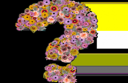 客服外包如何尋找?哪里找?