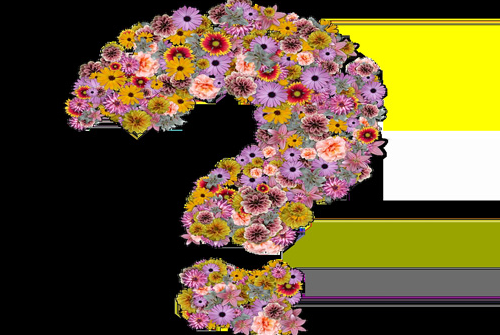 客服外包合作容易出現的問題（客服外包合作容易出現以及要注意的問題）