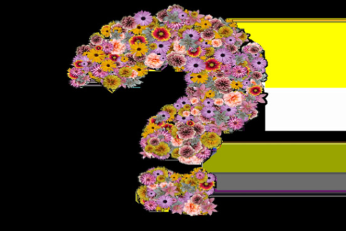 怎樣掌握客服知識