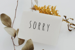 拼多多電商售后服務回復專用用語語錄