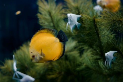 淘寶拍攝注意事項