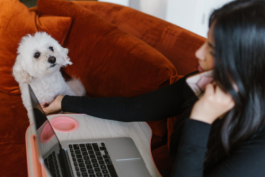 京東售前銷售客服培訓工作重點內容