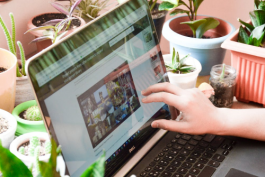 淘寶網(wǎng)店鋪免費(fèi)裝修教程