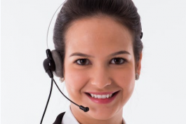 以專業知識論述你對網店客服的理解