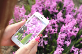 如何手機拍攝淘寶視頻?有哪些方法?