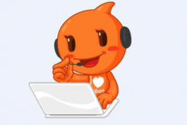 天貓店鋪客服的運(yùn)營管理模式有哪些?