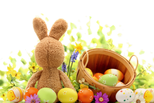 怎么在淘寶平臺(tái)上選擇網(wǎng)店的貨源？