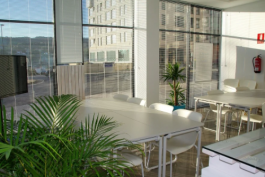 抖音平臺關于違規的考試試題，及考試相關介紹