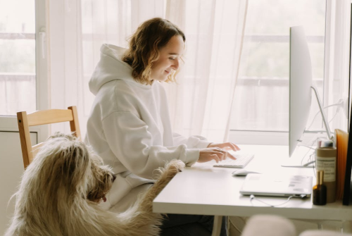 怎樣進入抖音電商平臺考試？抖音規則考試中心入口在哪里？