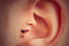 拼多多客服有哪些禁忌詞?與客戶溝通需要哪些技巧?