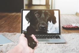 抖音直播帶貨如何開通商品櫥窗功能?如何獲取流量?