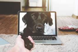 提高抖音店鋪等級(jí)的方法