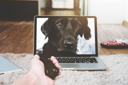 抖音新手漲粉技巧（抖音網(wǎng)店如何漲粉）