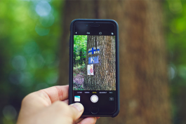 抖音短視頻拍攝小白要掌握哪些技巧？