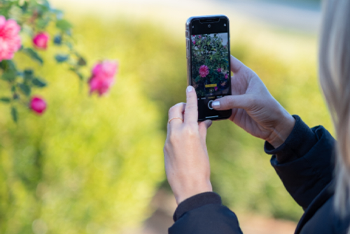 熱門(mén)抖音視頻如何拍？有哪些拍攝小技巧？