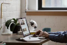 京東店鋪的轉讓步驟(轉讓店鋪注意事項)