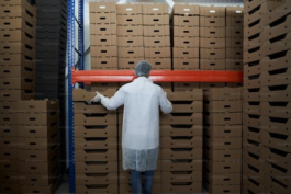 開拼多多網店沒有貨源怎么辦?開無貨源網店靠譜嗎?