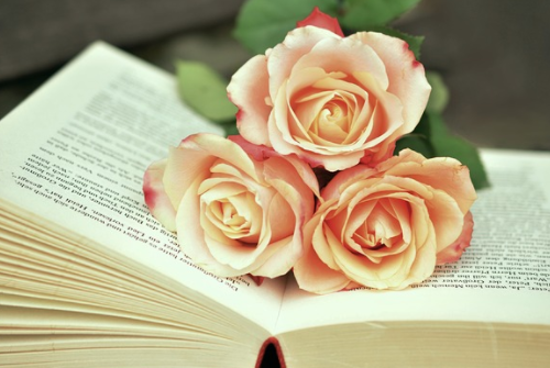 拼多多管理崗職責 拼多多管理崗位的工作技巧