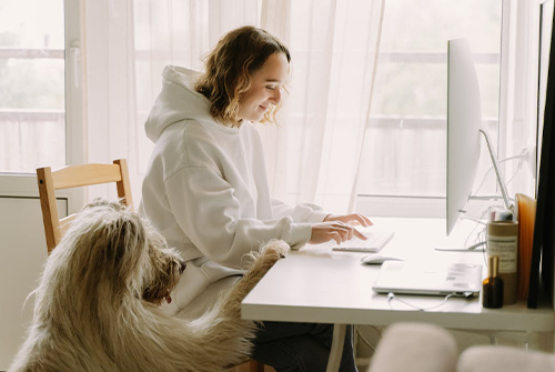 拼多多貨源從哪找？尋找途徑有哪些？