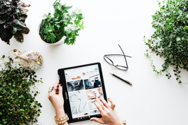 拼多多開無貨源店鋪如何選品好?選品方法是什么?