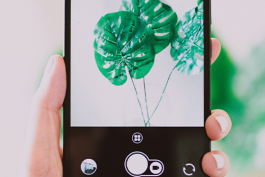 拼多多產(chǎn)品如何擺放?拍攝技巧是什么?