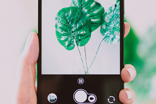 拼多多產品如何擺放？拍攝技巧是什么？