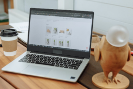 拼多多直通車的運用方法（拼多多直通車的操作方法）