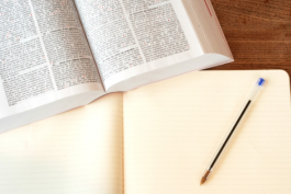 該怎么制定天貓旗艦店的運(yùn)營(yíng)規(guī)劃?