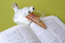 拼多多客服專業(yè)知識(做好客服具備技巧)