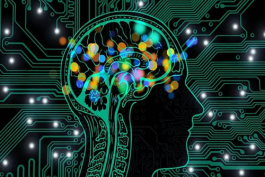 運營京東店鋪需要哪些技巧?(運營京東網店方法)