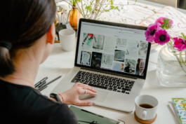 京東開店的基本流程 京東開店注意事項