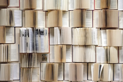 辦理快手小店的營業(yè)執(zhí)照需要準備的資料